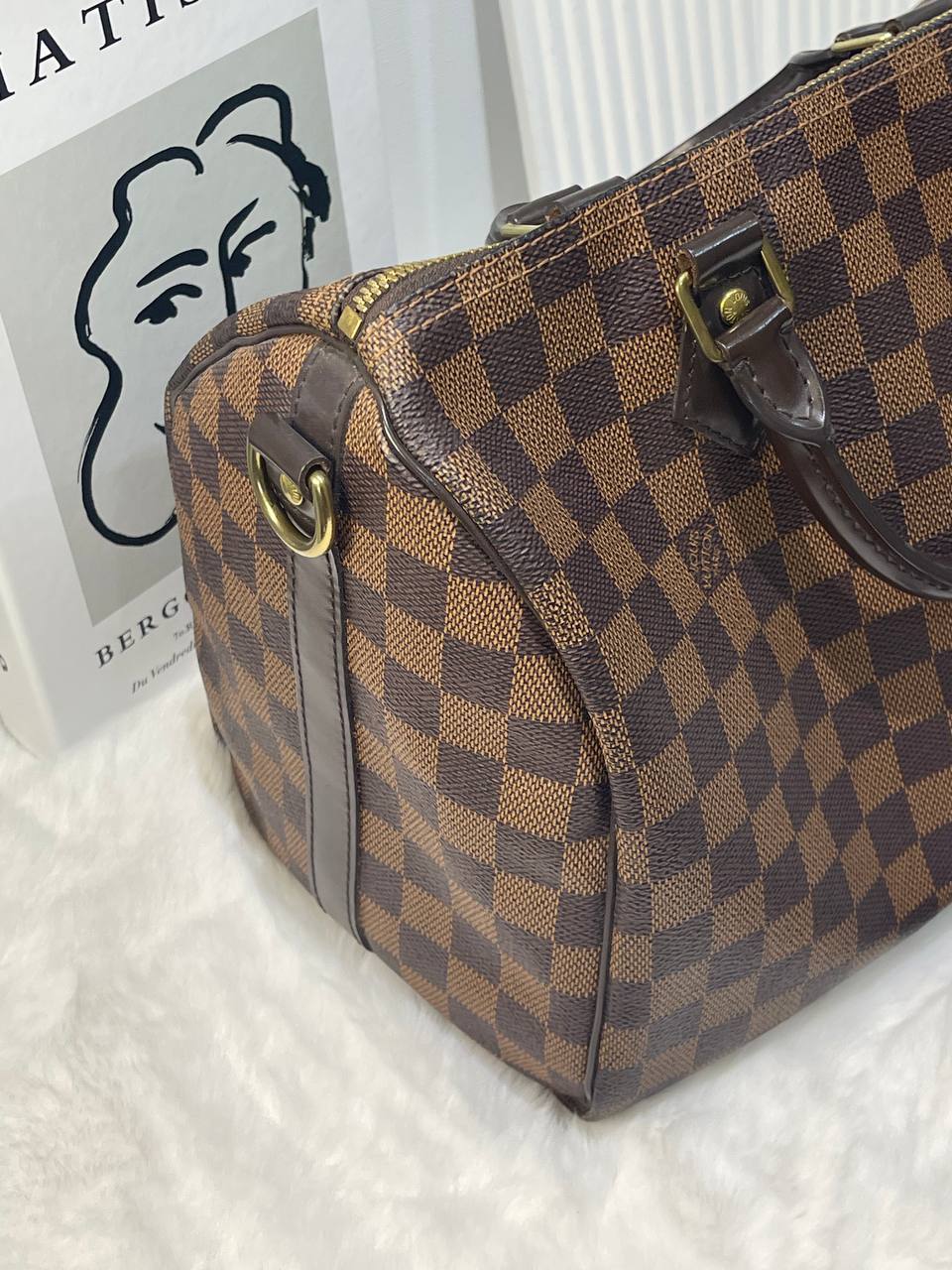 LV speedy 30 damier