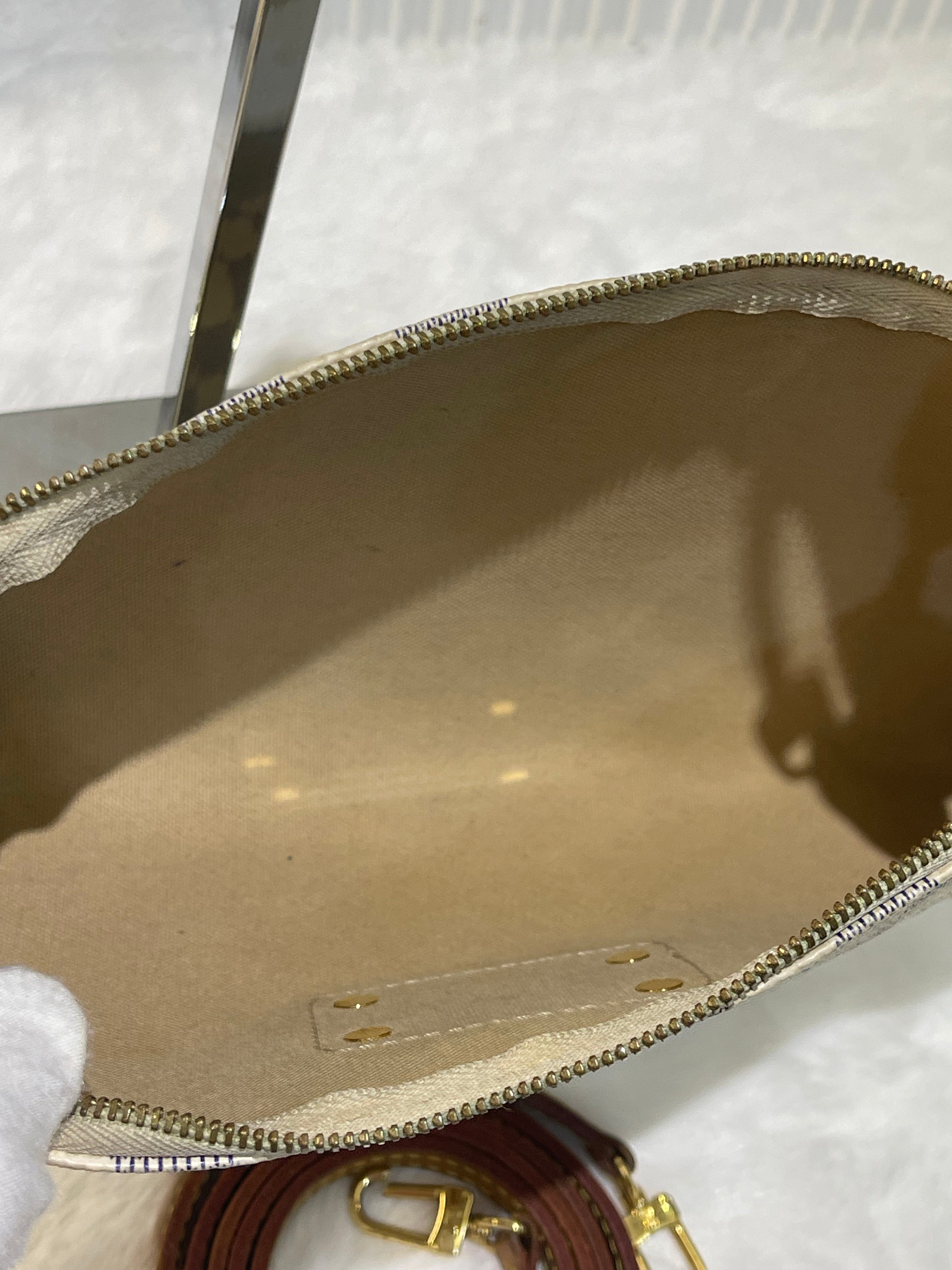 LV Eva Damier