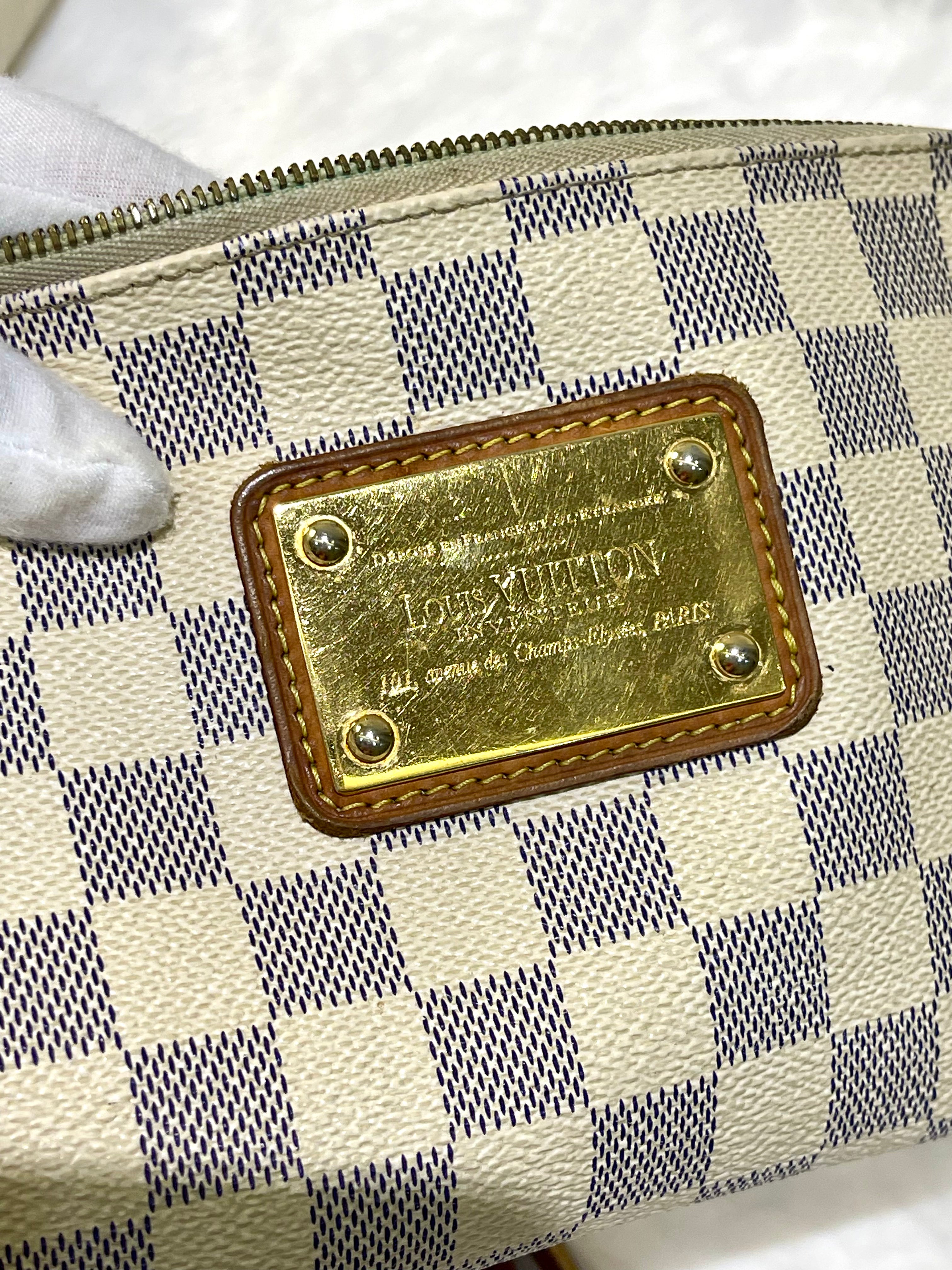 LV Eva Damier