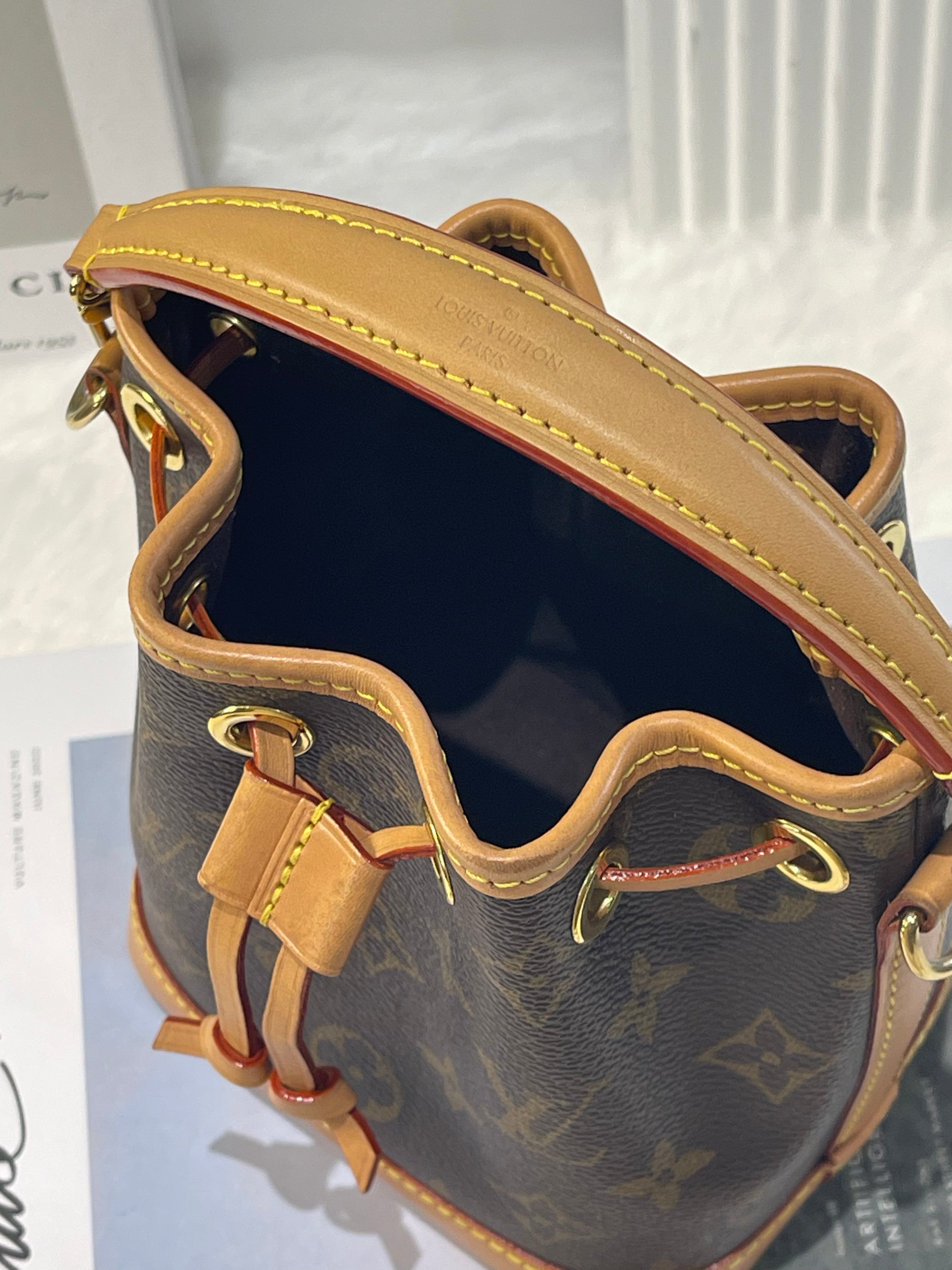 LV nano noe (microchip)