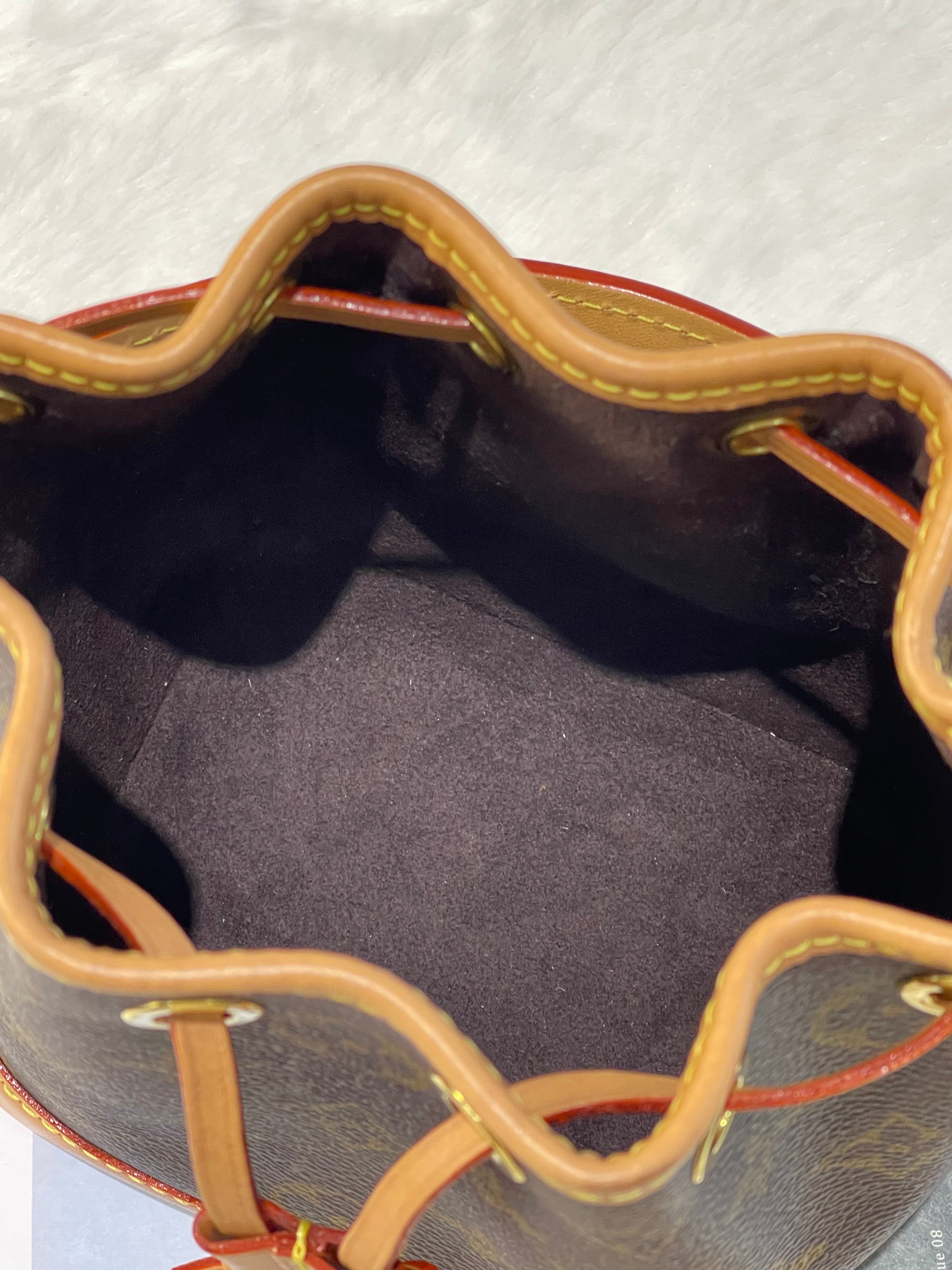 LV nano noe (microchip)