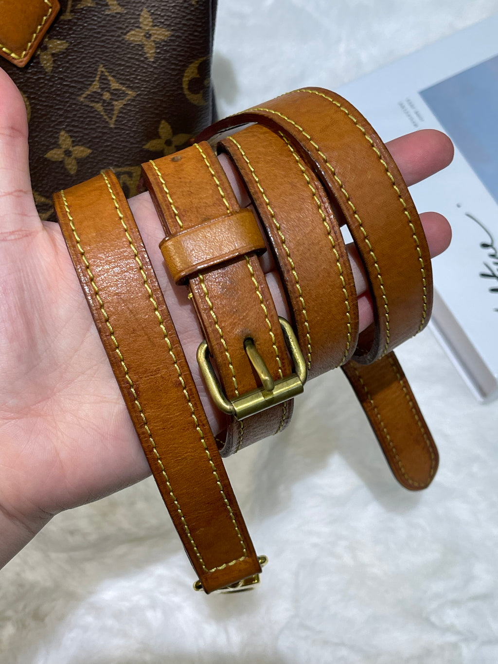 LV Speedy 25 Monogram
